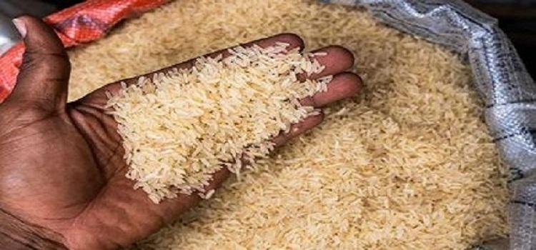 Riz : la Guinée mise sur la Chine et le Brésil pour accélérer vers l’autosuffisance