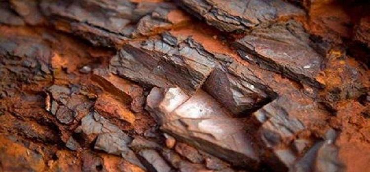 Fer : Kalia, le géant de 7,2 milliards de tonnes qui attend encore sa mine en Guinée