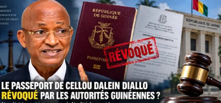 Guinée : l'opposant Cellou Dallein Diallo voit son passeport révoqué